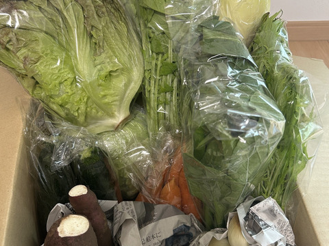 👑2年連続アワード入賞👑【未来をつくる笑み野菜】宮崎県産☆季節のお野菜セットL(8～9品程度)☆