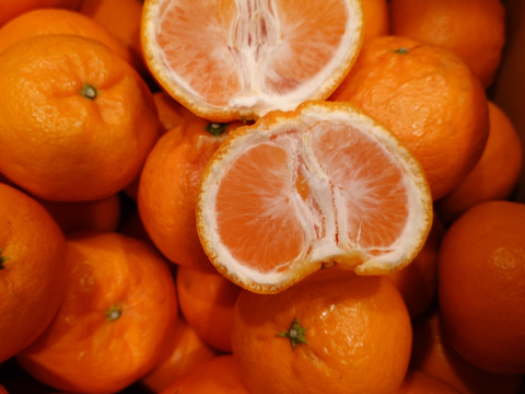 10Kg　甘みとオレンジの様な香り、その両方が組み合わさった食味、はれひめ