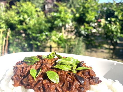 愛知岡崎MUTSUMI　KEEMACURRY　カレー