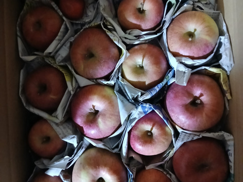 サンふじ　訳あり家庭用（約4.5㎏）10～25玉
甘さ･酸味･食感の三拍子が揃ったりんご　
形やキズなどで贈答用になれなかったりんごたち
バラ詰めでお届け　信州長野県産