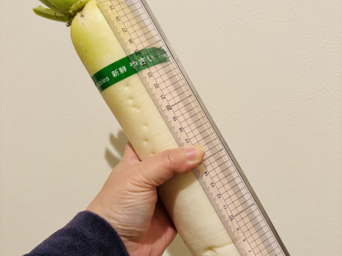 【農家直送】大根＋サニーレタス+甘いさつまいも 約2㎏　栽培中農薬不使用