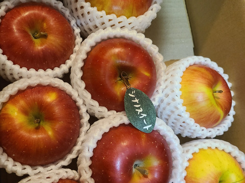 ★★大幅値下げ★★🍎シナノスイート🍎約3キロ箱(家庭用)9〜11玉 ID296866 甘い りんご