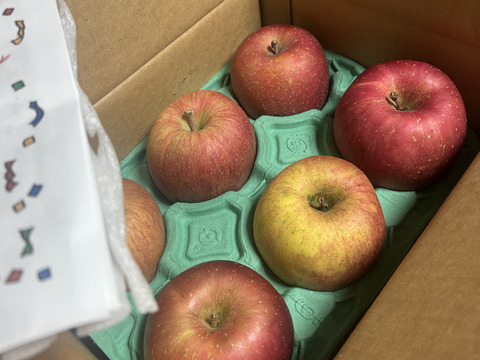 令和7年度産早期予約セール7%OFF大玉から順に発送‼️🍎青森県産葉取らず完熟ふじ約6kg家庭用‼️とことん味にこだわりました😊