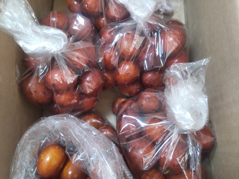 棗（なつめ）　若返りの果実！　200グラム