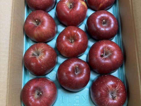 ≪最終出荷≫🏆食べチョクりんごグランプリ2025銀賞🏆幻のりんご【あいかの香り】ちょっぴり小玉の11玉　約3kg