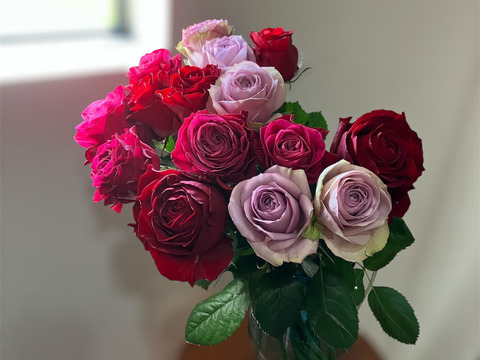 【赤パープル系15本】2月限定☆厳選バラ☆贈り物にもおすすめ（ご自宅用簡易包装/50cm）