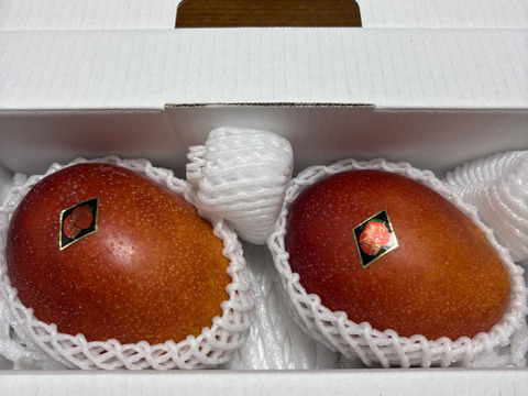 数量限定☆当園人気NO.1☆宮古島産完熟マンゴー1kg(2玉)