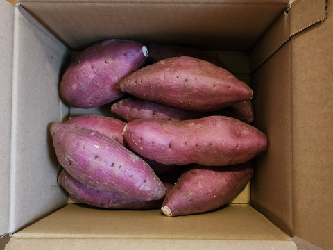 上品な甘さの「シルクスイート」２kg【鹿児島県産】【サツマイモ】【さつまいも】【冬ギフト】