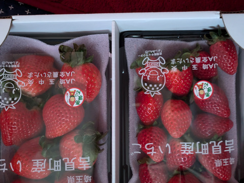 あまりん 新品種「あまりん」 | 秩父のいちご園「和銅農園」