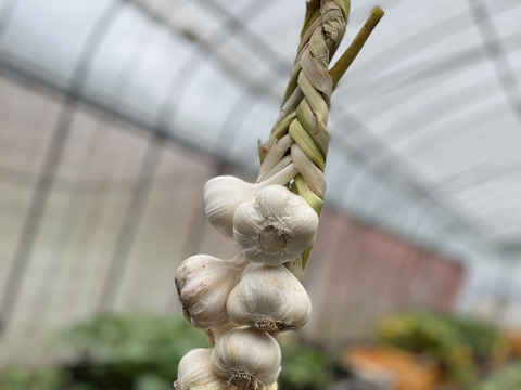 常備で便利！吊るし編みニンニク（10玉）