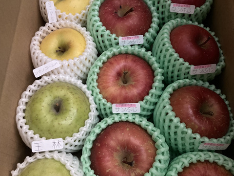 ☆農薬不使用りんご☆と特別栽培りんご(品種おまかせ)詰め合わせ3キロ（８〜１２玉）