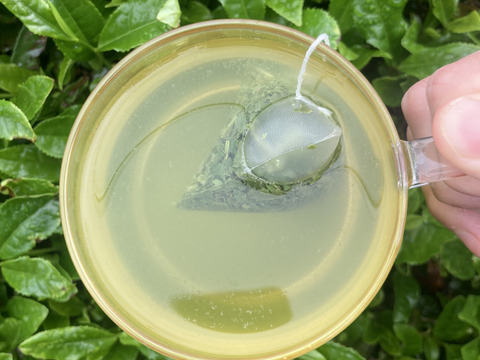 新茶＊2025年産【苦くない緑茶】伝統とこだわりの味！まろやかな
