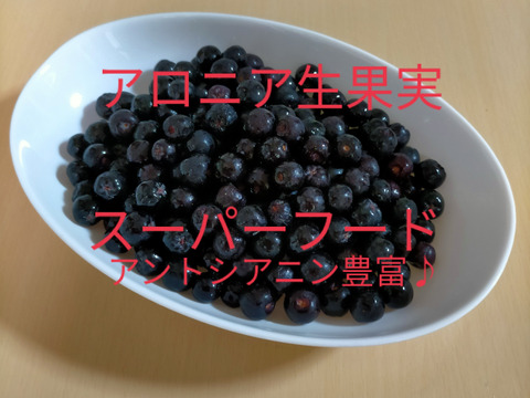期間限定【ｽｰﾊﾟｰﾌｰﾄﾞ】令和5年産  アロニア生果実　1.5ｋｇ　フレッシュアロニア（ｱﾝﾄｼｱﾆﾝ・ﾎﾟﾘﾌｪﾉｰﾙ豊富♪）新潟県産　アロニア