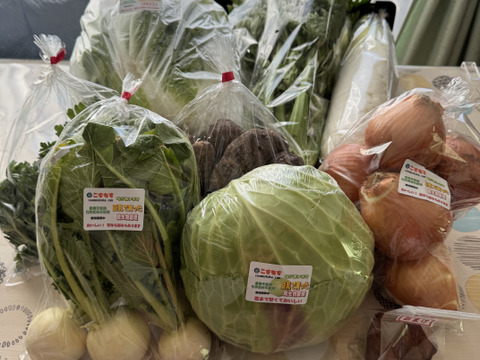 《味に自信あり》豆乳で育った特別栽培　旬の野菜セット（大）＋おまけ【翌日発送 毎日便 対応】