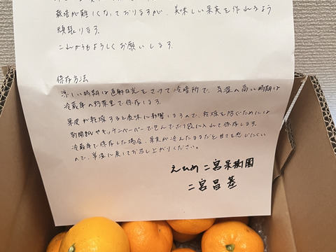 箱込約2㌔　濃い濃い薄皮みかん