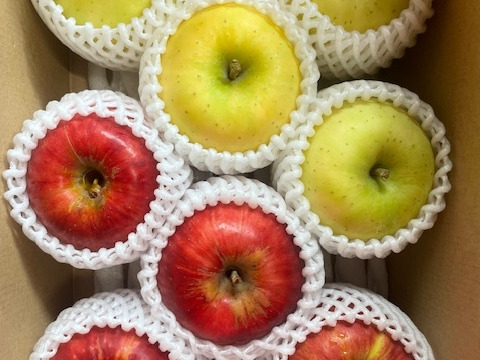 お任せミックス！岩手江刺産☆家庭用2㎏