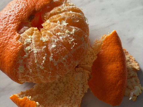 完熟★せとか（露地もの）家庭用3kg