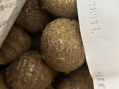 ⚠️数量限定⚠️『黒いダイヤ』高級料亭で出される里芋の味をご家庭で！生産量トップクラスの所沢から送る絶品里芋！※芽なしという訳ありですが、農家のみぞ知る絶品です。5kg（約30〜40個入り）