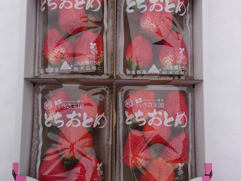 いちご とちおとめ グランデ（形ランダム）ビッグサイズ品