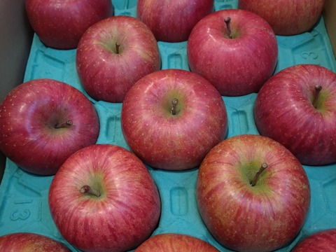 【販売中！人気商品】青森県産りんご「サンふじ」家庭用 キズ有 約5kg【美味・光センサー選果済】