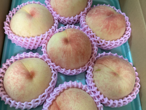 【朝どれ】（訳あり商品）糖度15度以上！　硬い桃　1.5～2.0kg（4-8玉）