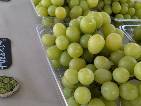 は自分にプチご褒美を 完熟！シャインマスカット訳あり粒売り（1.2kg）：熊本県産の 果物