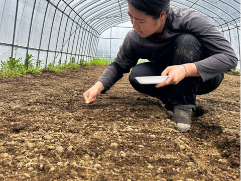 【有機JAS】甘味が乗った！南阿蘇産オーガニック白ネギ（サイズ混合2kg・約25本）