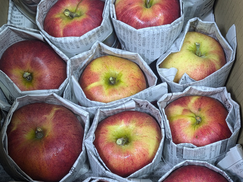 【訳あり】『なかの真紅』　バラ詰め約3kg【希少品種】