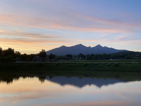 甘みと香りが際立つ！山梨県北杜市産アロマレッドにんじん【有機JAS認証】　LLサイズ10㎏