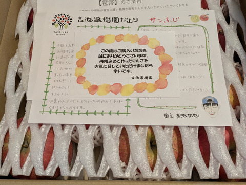 傷があるだけで味は同じ！！溢れんばかりの果汁！！当農園人気No.1 サンふじ【訳あり】５㎏　F-w5