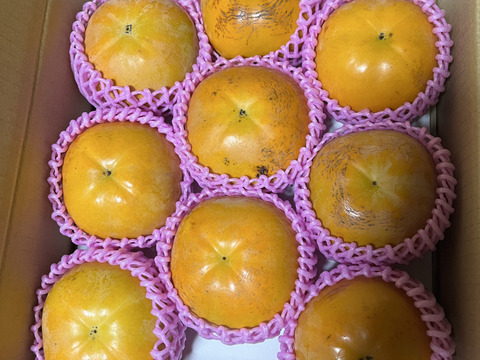 【 赤字覚悟！太秋普及企画】太秋柿 小玉 3kg  サクサク、甘々