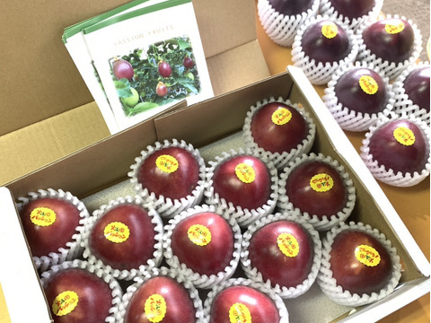 【販売期間残りわずか】芳醇な味わい パッションフルーツ『火の国パッション』贈答用・1kg