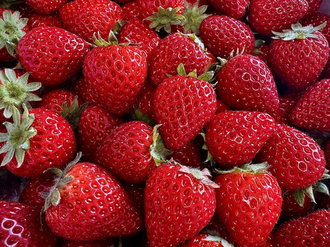 加工用「あまりん」たっぷり1Kg！