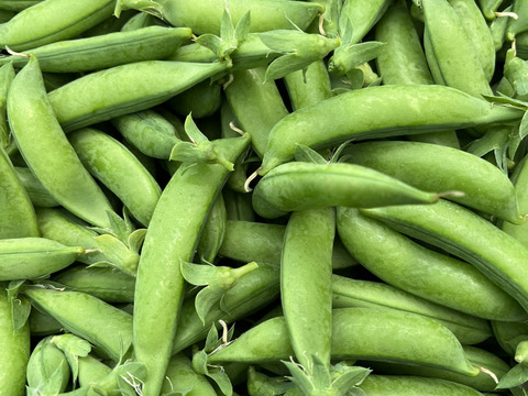 ≪予約商品≫☆有機JAS認証☆スナップえんどう１kg【5月発送予定】