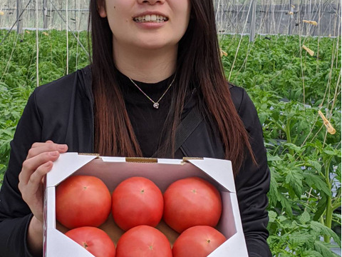 【規格外】トマト界のモンスター！！大玉トマト1.5kg