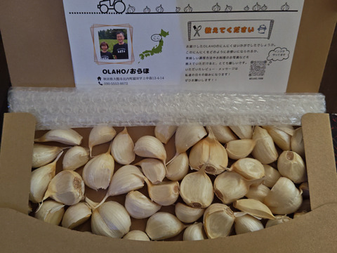 訳あり★送料一律★R7年産にんにくバラ【白玉王】