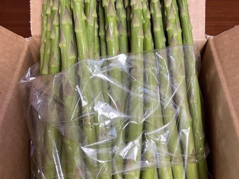 1.5kg】甘味がギュッとアスパラ1.5kg | 野菜,アスパラ | さが