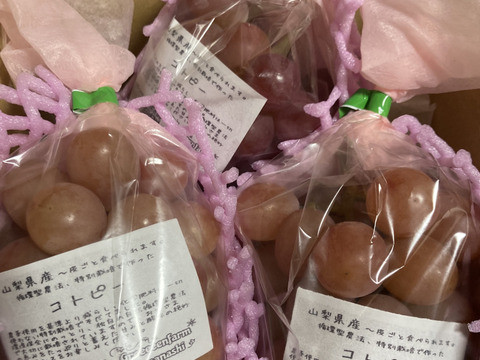 【朝どれ】【9月下旬からお届け:1kg以上！】コトピー 1kg箱