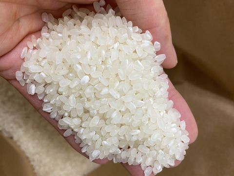 虹のきらめき白米27kg】【2025年米】新米🌾大粒の食べ応えと甘み