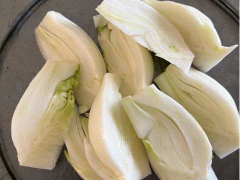 京都産ういきょう（フェンネル）　1kg以上（葉カット　3～5個）