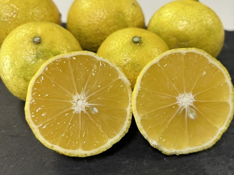 鹿児島県産　甘くて爽やか！【黄金柑】3ｋｇ程度