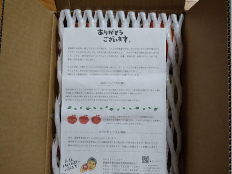 【特秀品】 🍎(家庭用)5品種詰め合わせ🍎3キロ   おまかせ 商品ID171041