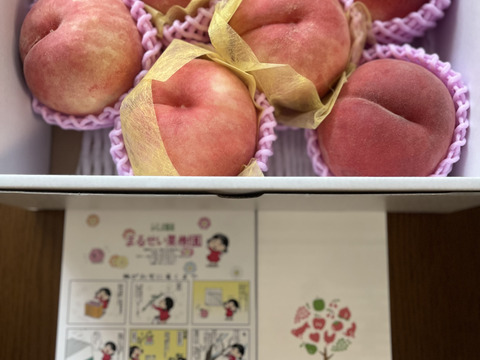 お買い得！まるせい果樹園の桃　おまかせ　1.6k　化粧箱　自家用　贈答用　(4～8玉入り) om5