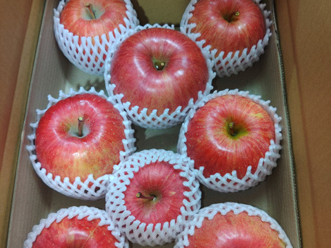 家庭用りんご🍎サンふじ🍎　　3kg　大玉～中玉入り