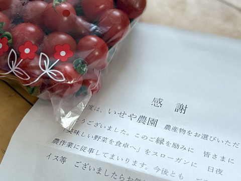 赤い宝石　ミニトマト『サンチェリーピュア』　1㎏（500gX
2袋 　約5パック分）