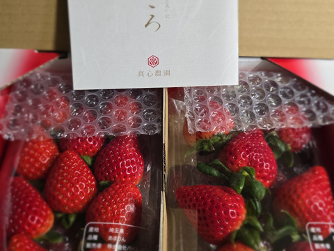 【四次予約販売】⑨真心農園　あまりん【葵】化粧箱２パック入り　ご贈答でも好まれます！