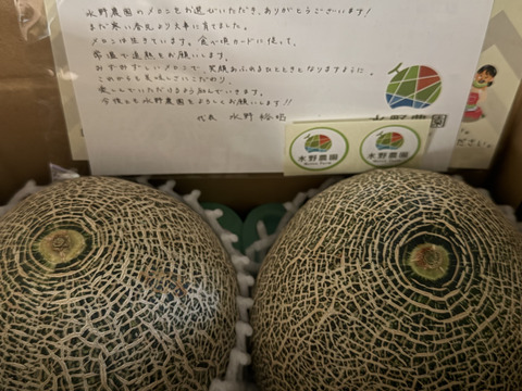 【果汁したたる】7月のさわやか『タカミメロン』1.3kg×2玉