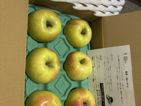 本当に最後40！【このりんごを嫌いな人はいますか？？】名月 3キロ箱 6玉〜16玉サイズ 商品ID44435 ぐんま名月 甘い 信州 リンゴ 幻 幻のリンゴ 予約 希少