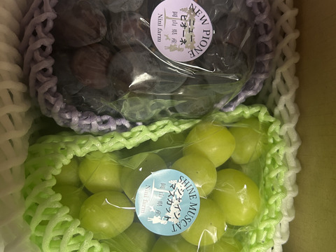 【葡萄好き園主おすすめ】こだわり栽培ニューピオーネ&シャインマスカット(約800g)優品ランク 岡山県産(熨斗対応可) 【夏ギフト】