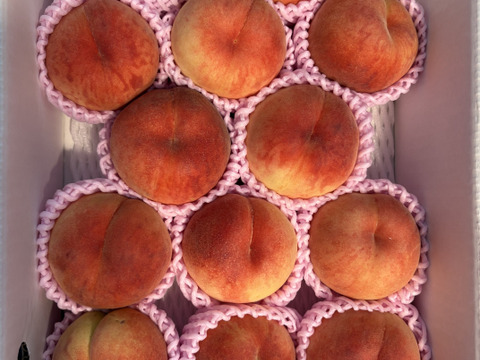 夏ギフト　【超新鮮桃】3kg　8～14玉【ASIAGAP認証農場：津軽農園】安心・安全な桃　収穫した日に発送　家庭用　農家直送【朝どれ】